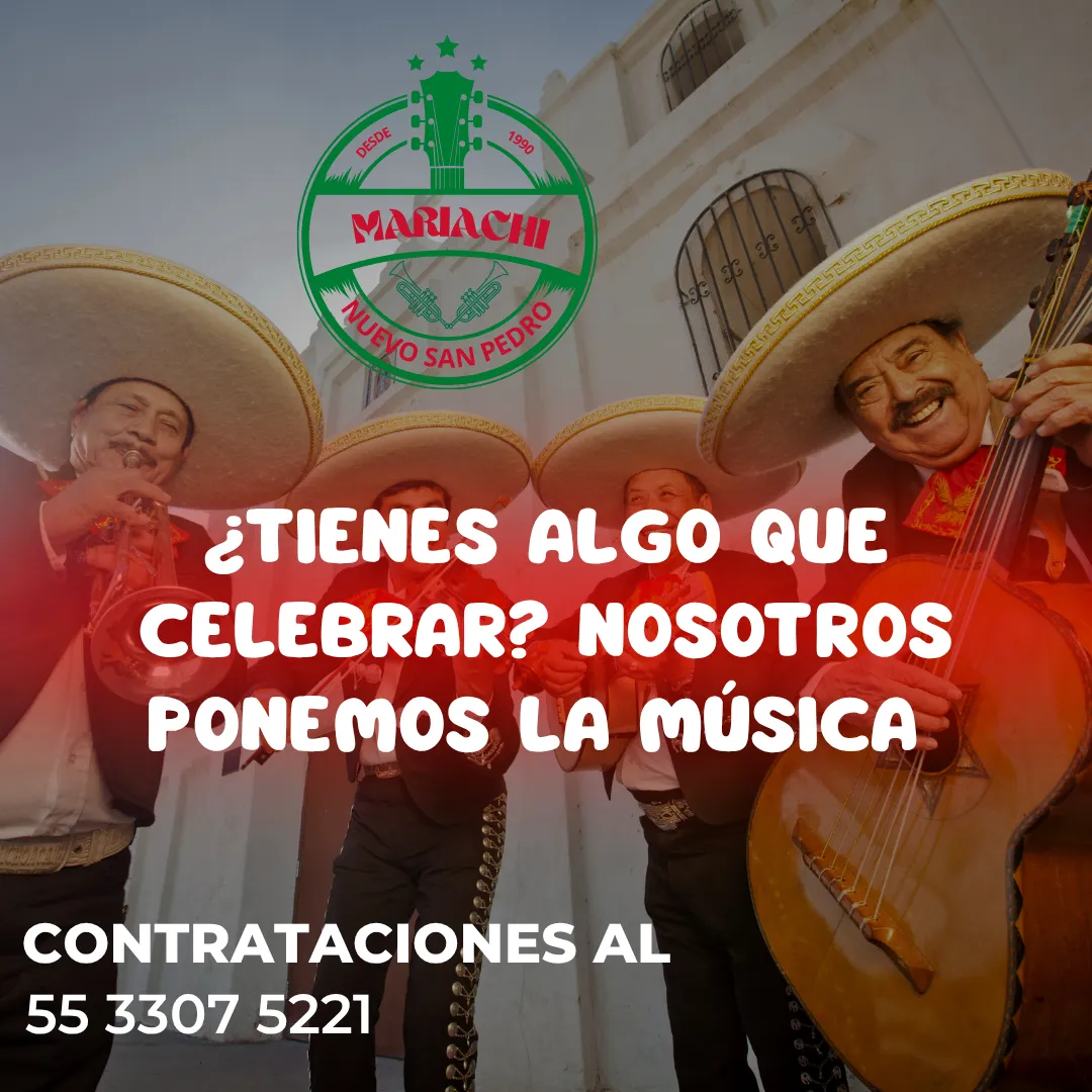 Diseño 79