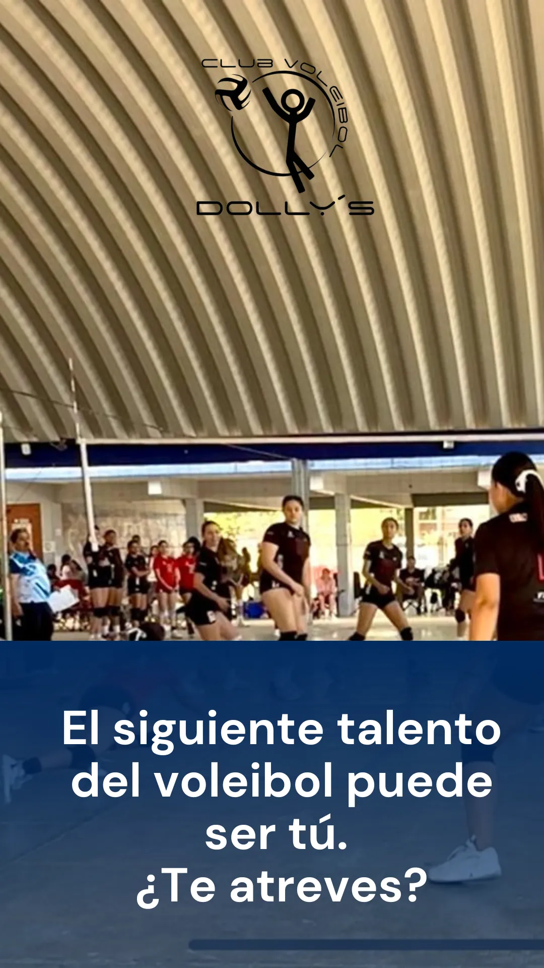 Diseño 19