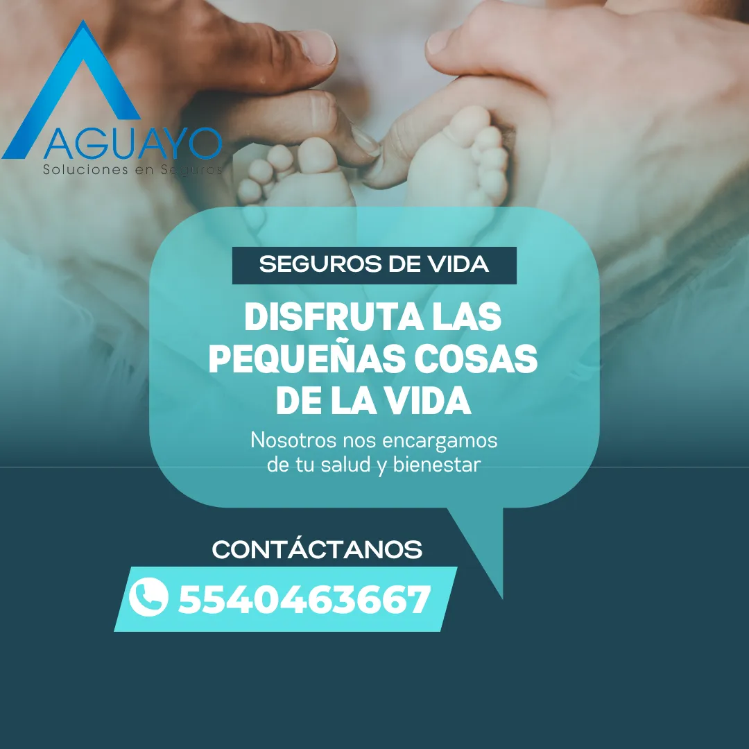 Diseño 14