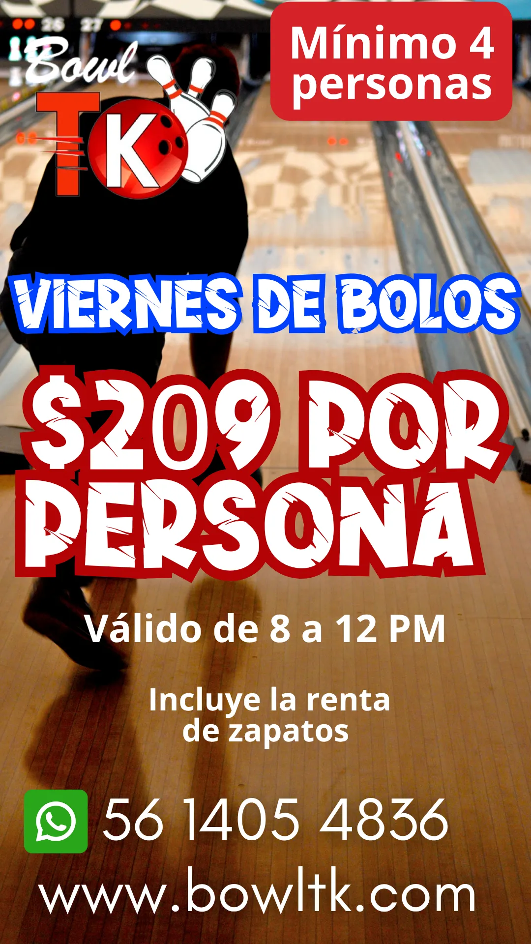 Diseño 61