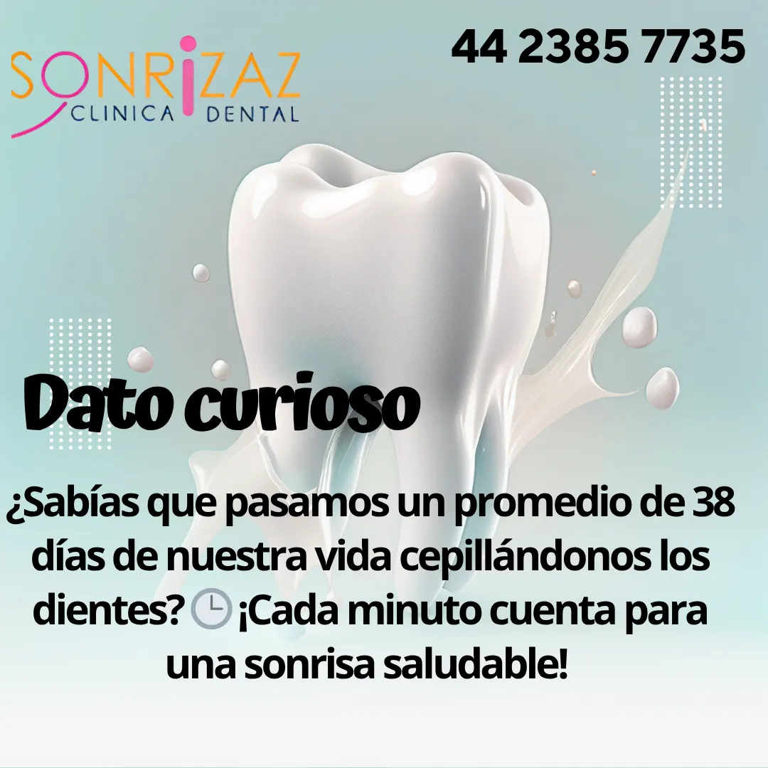 Diseño 94