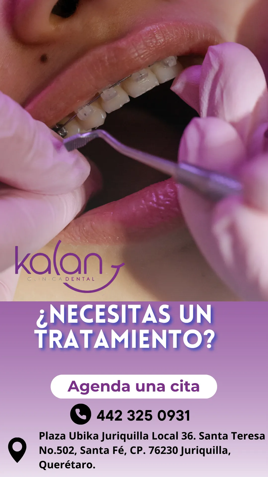 Diseño 53