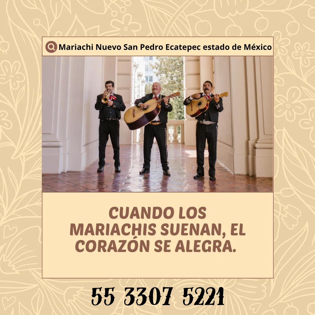 Diseño 5