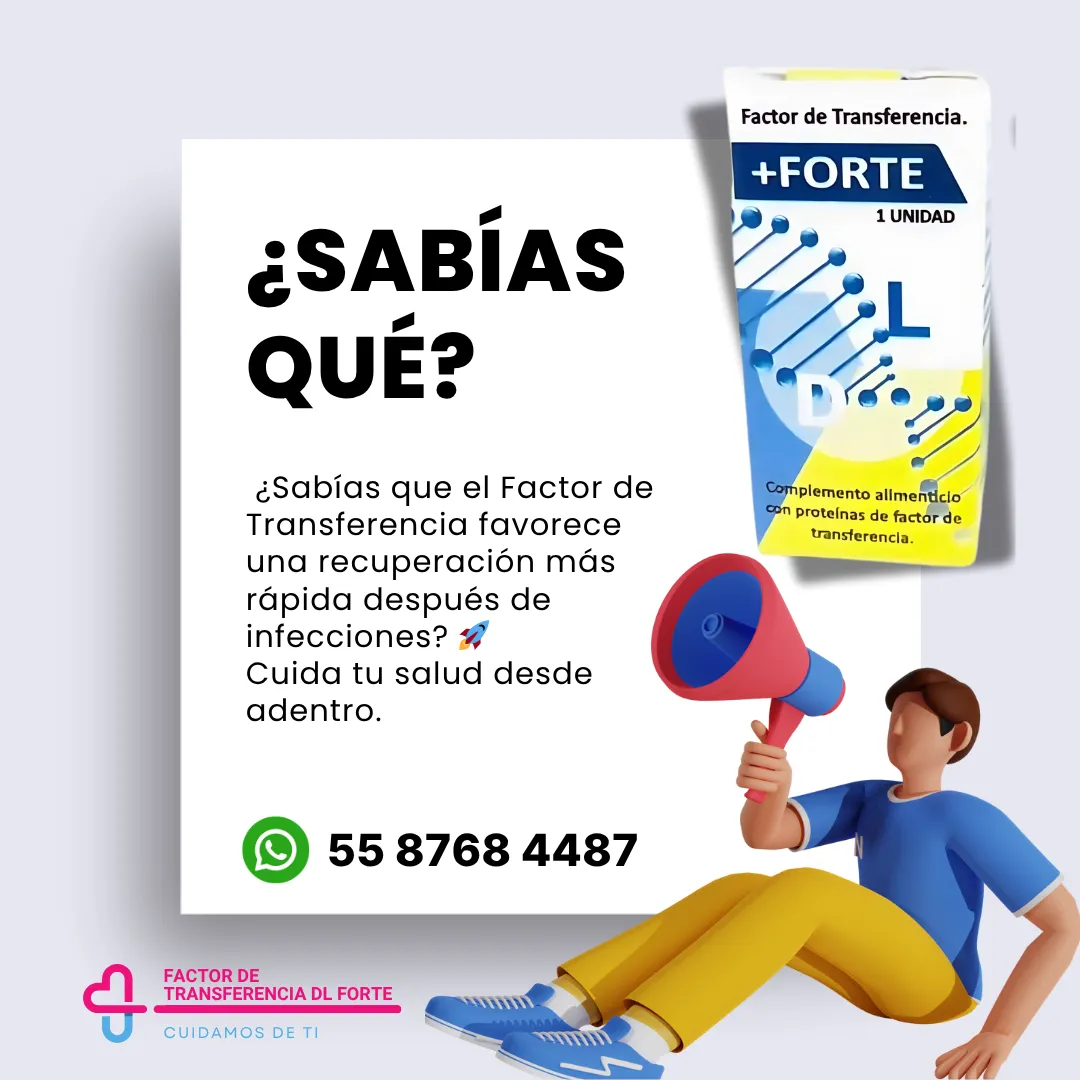 Diseño 17