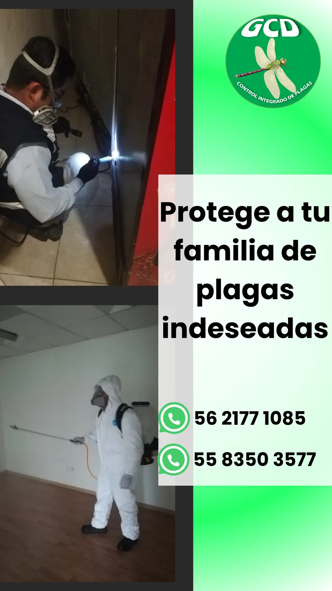 Diseño 63