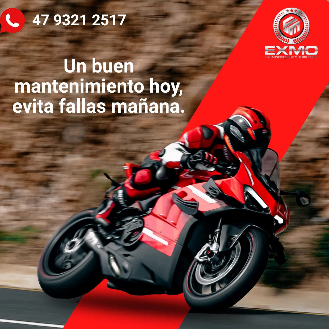 Diseño 19