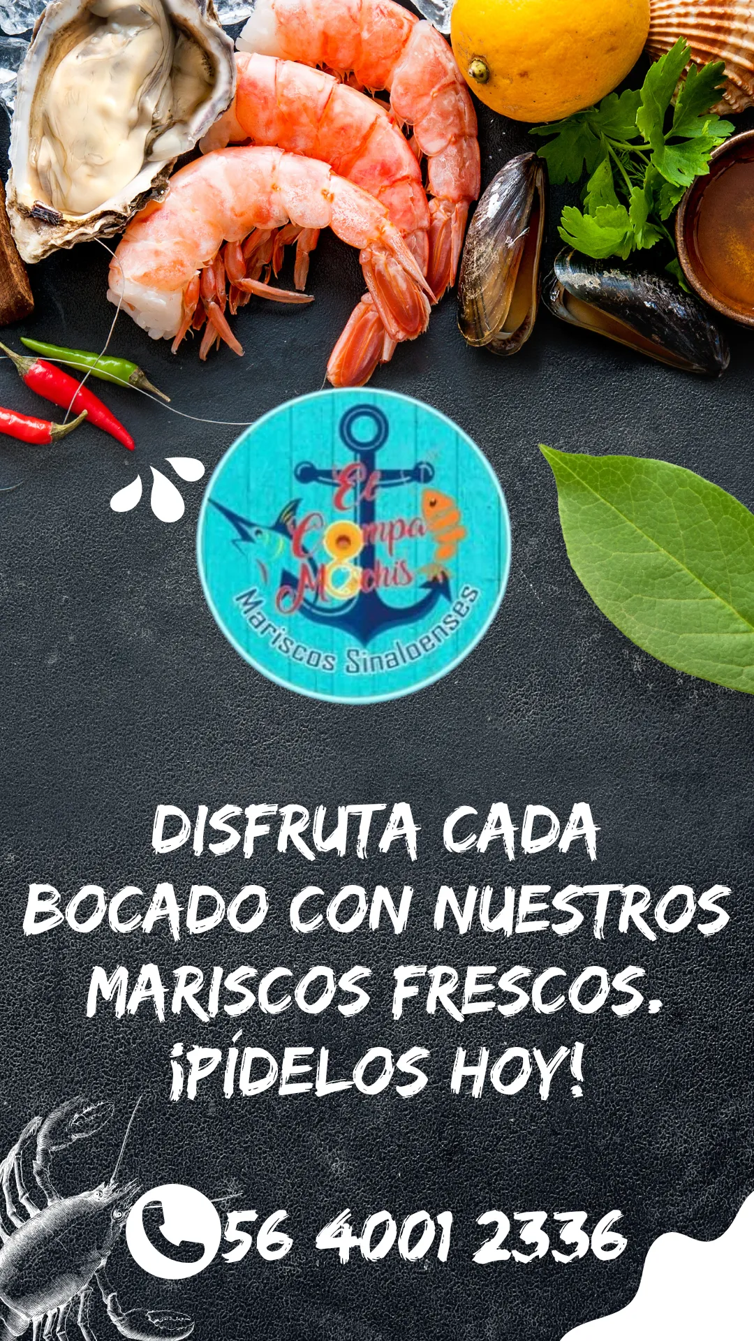 Diseño 4