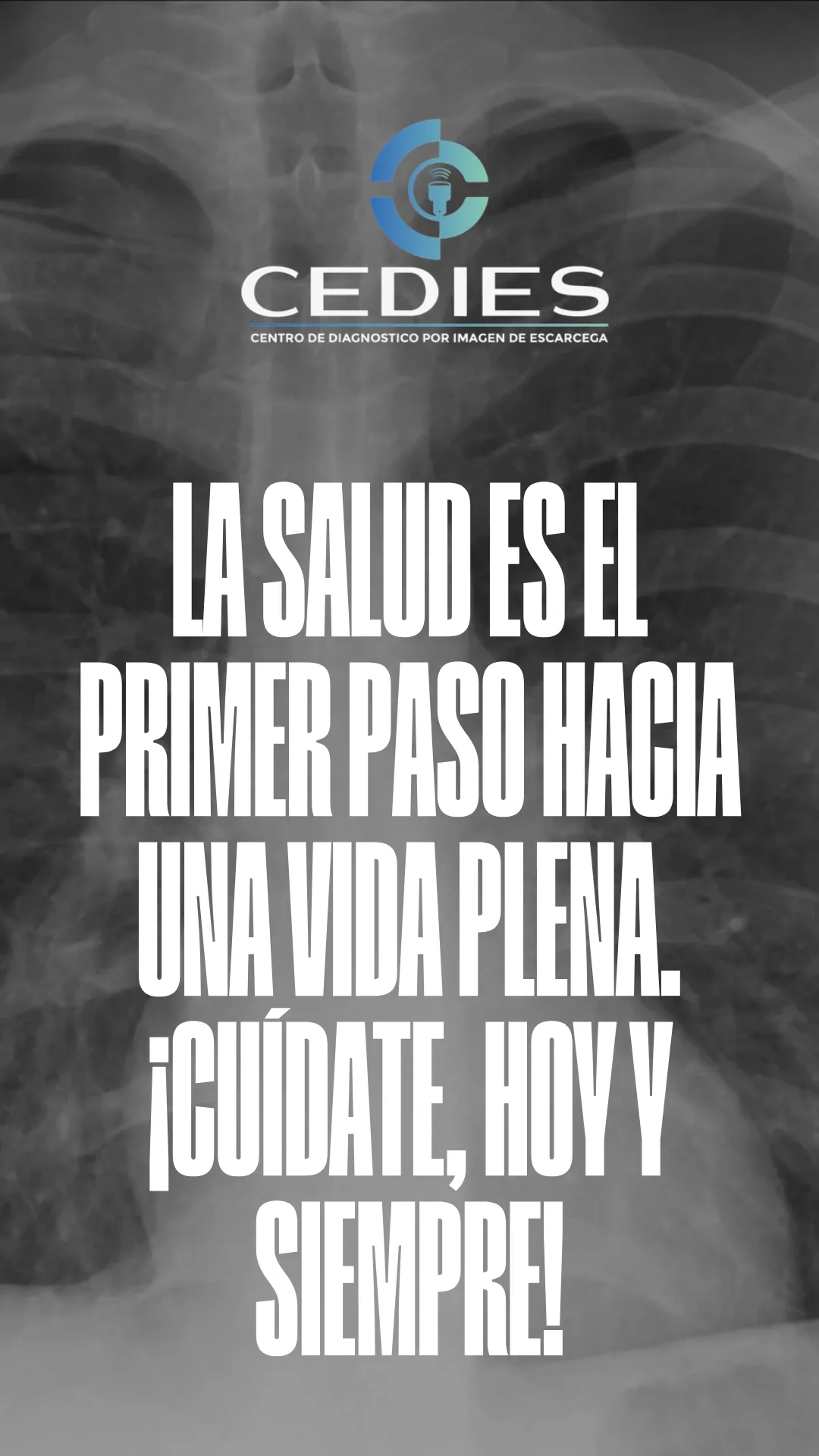 Diseño 4