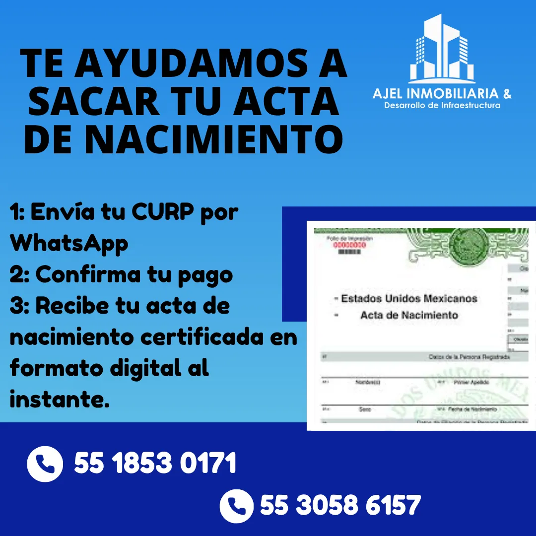 Diseño 62