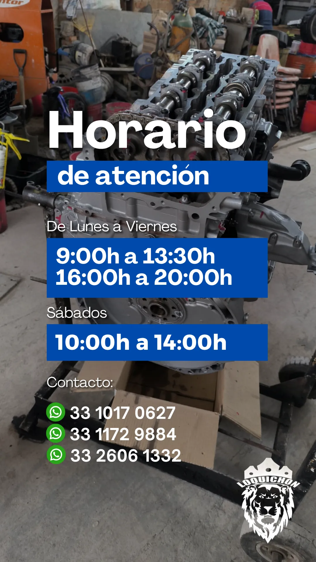 Diseño 12