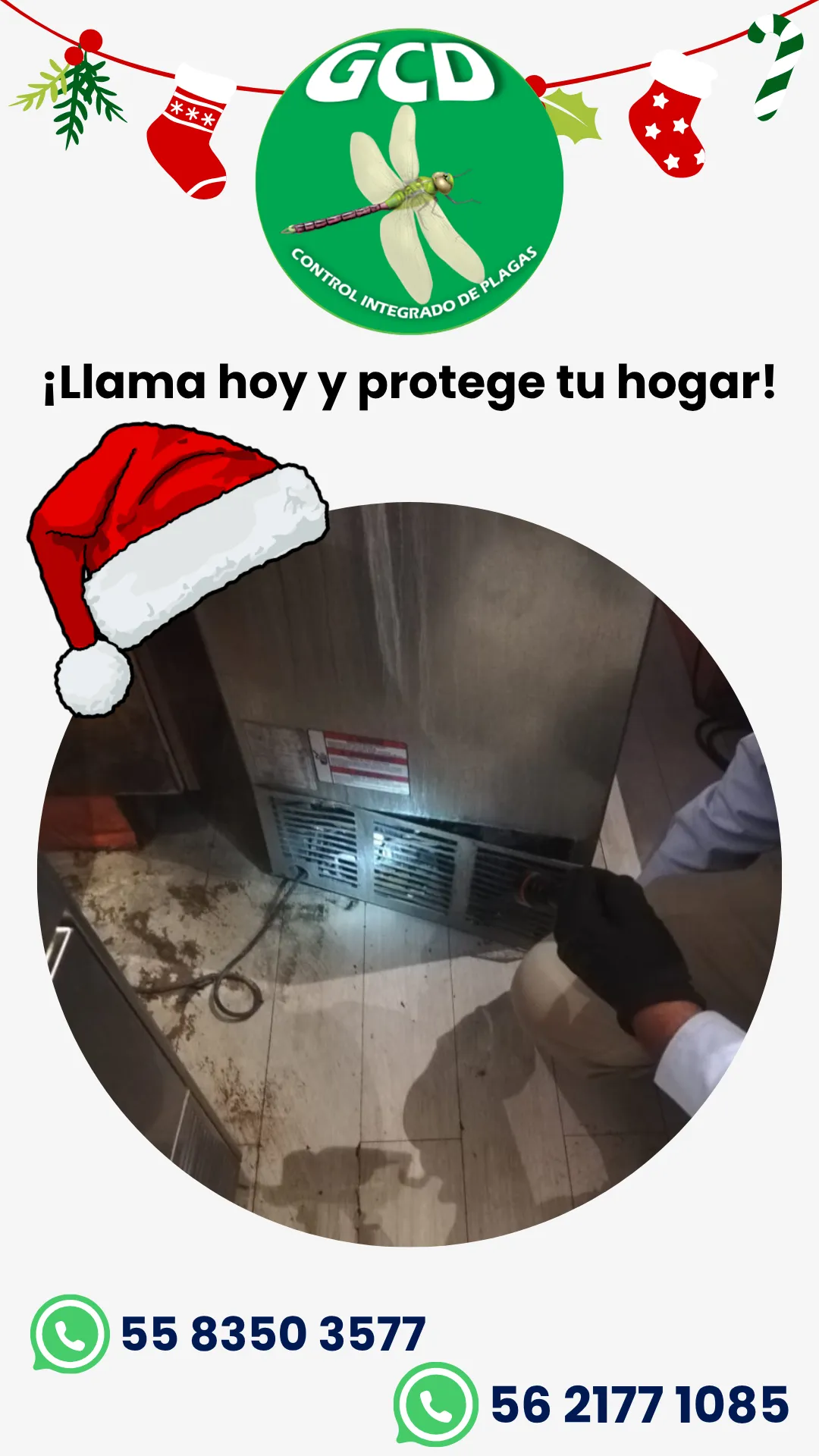 Diseño 19