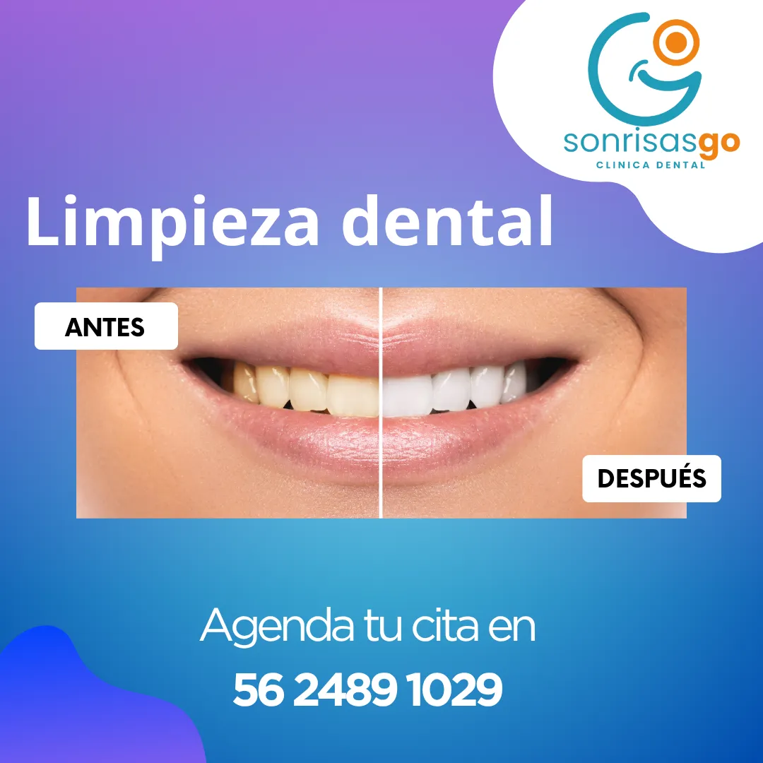 Diseño 26