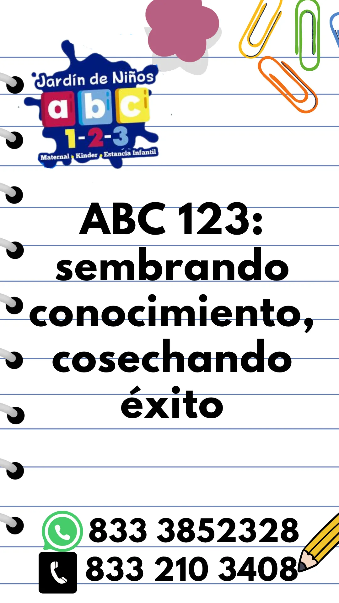 Diseño 131