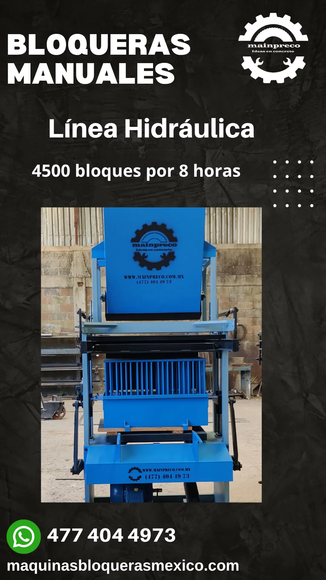 Diseño 31