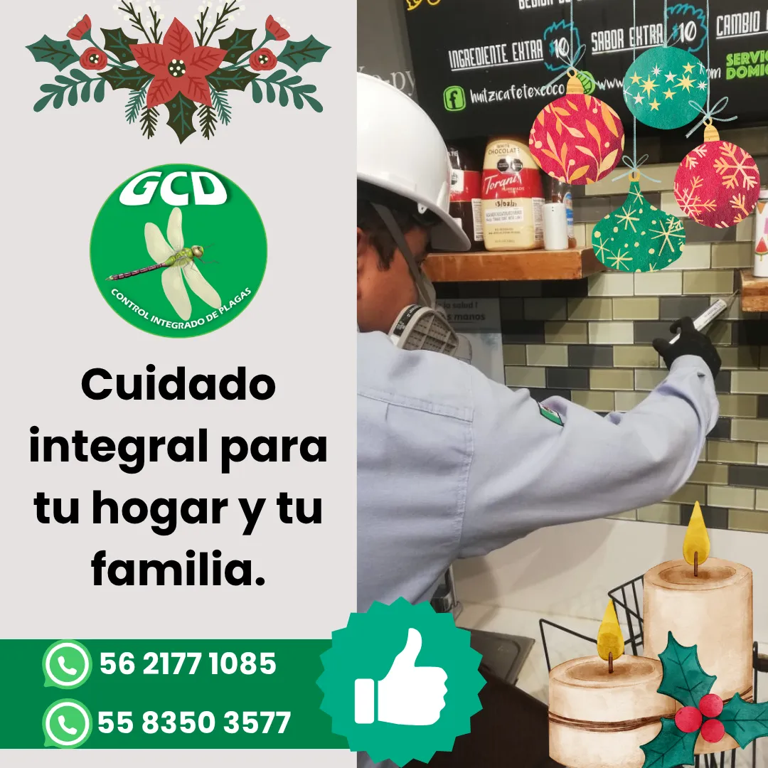 Diseño 9
