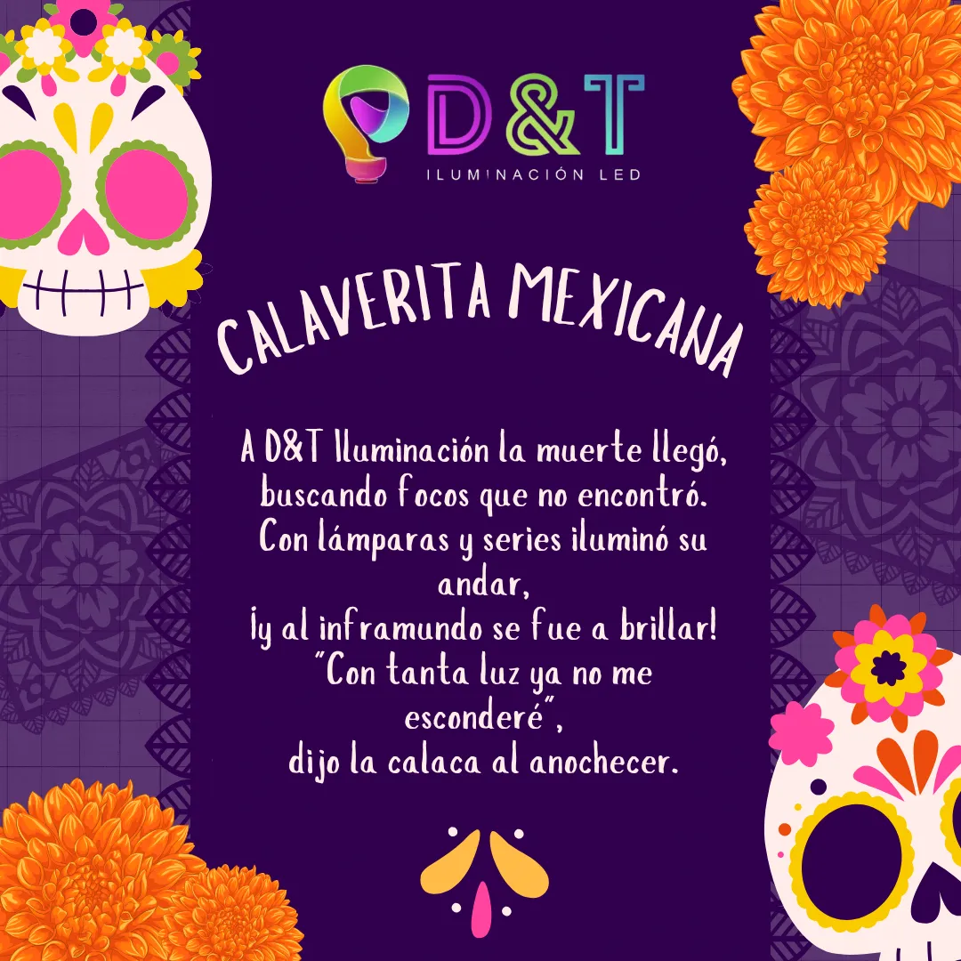 Diseño 53