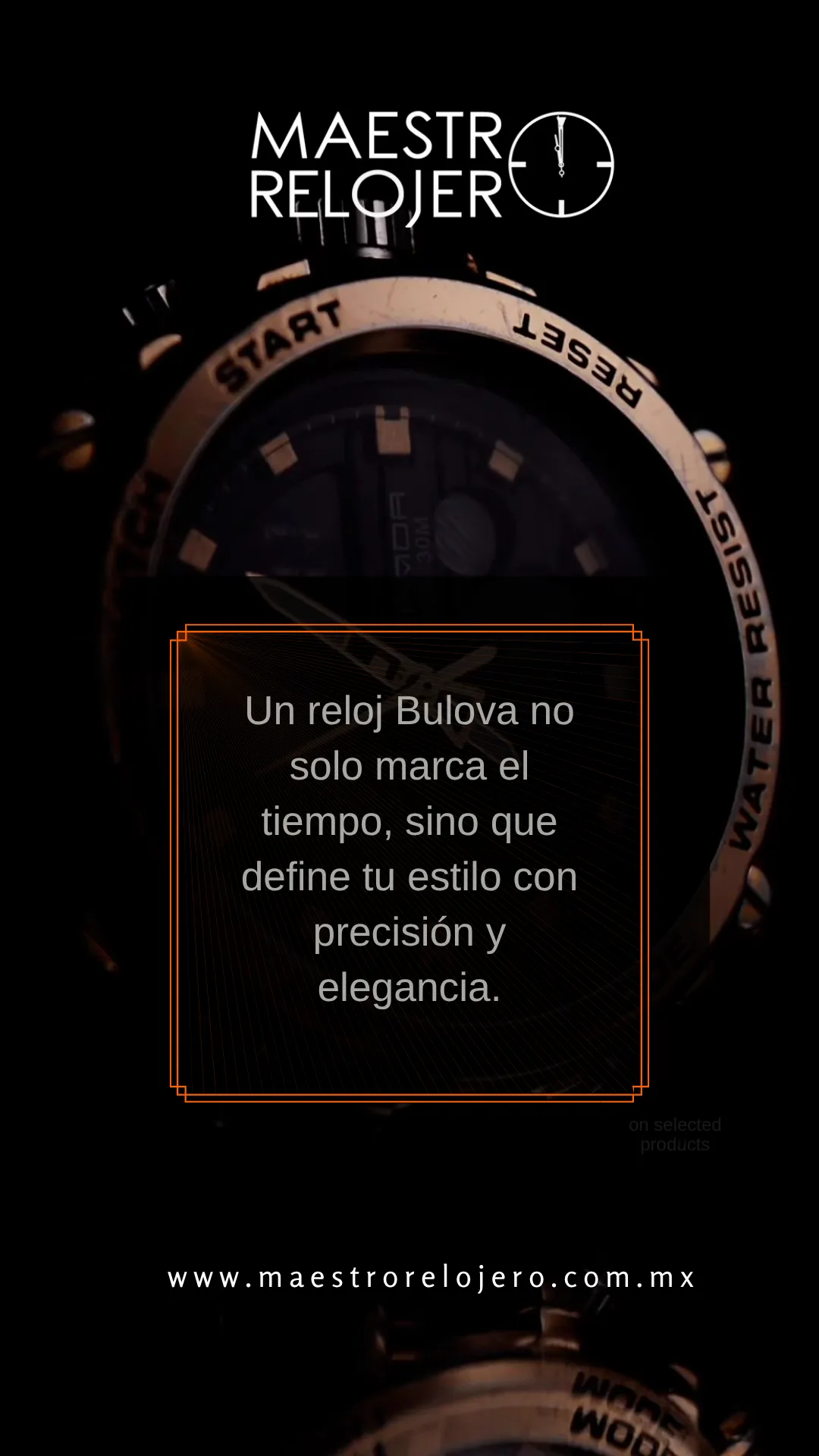 Diseño 79