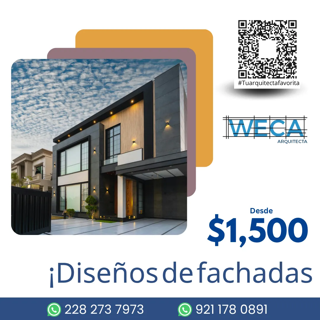 Diseño 81