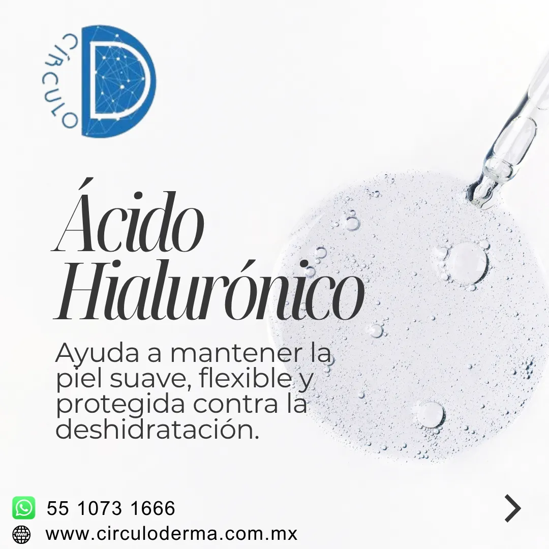 Diseño 113