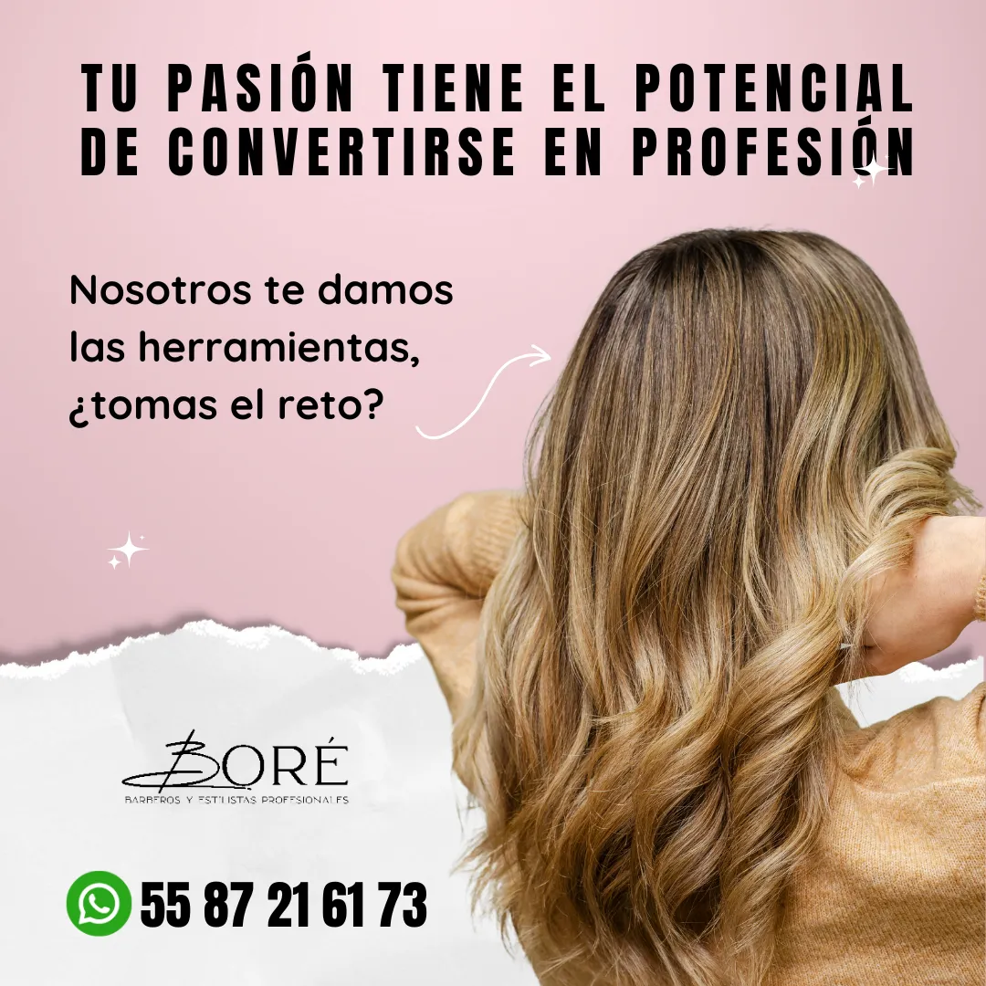 Diseño 24