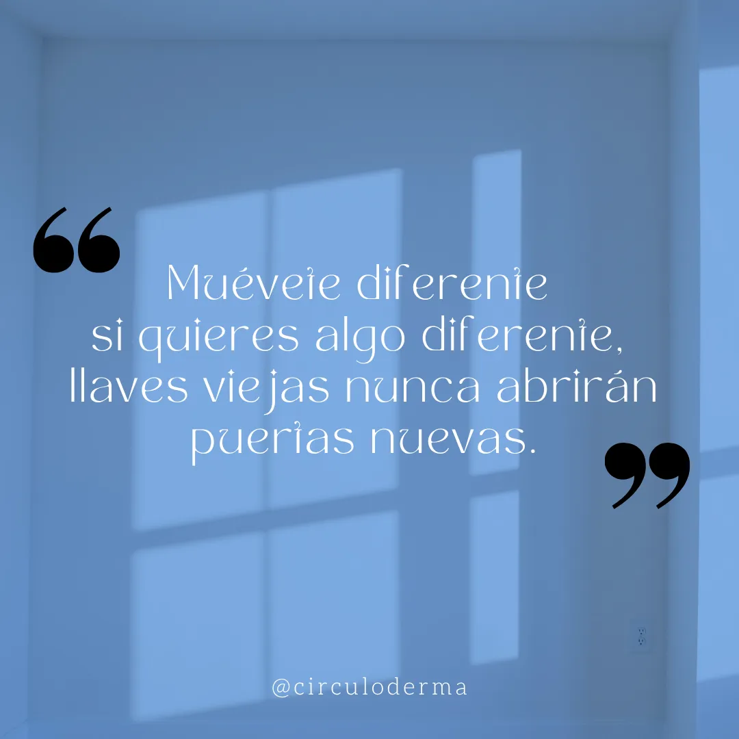 Diseño 29