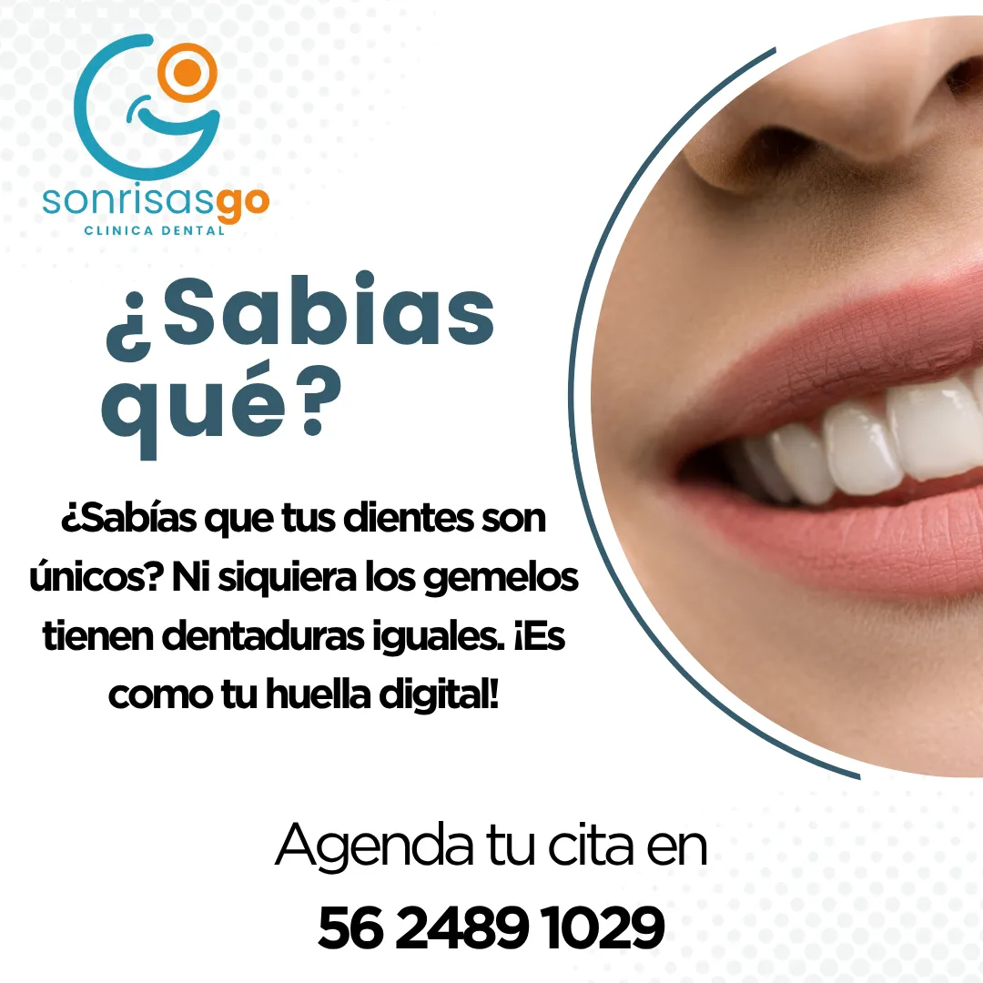 Diseño 38