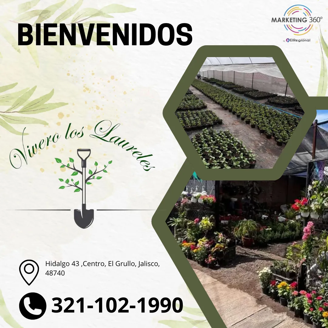 Diseño 12