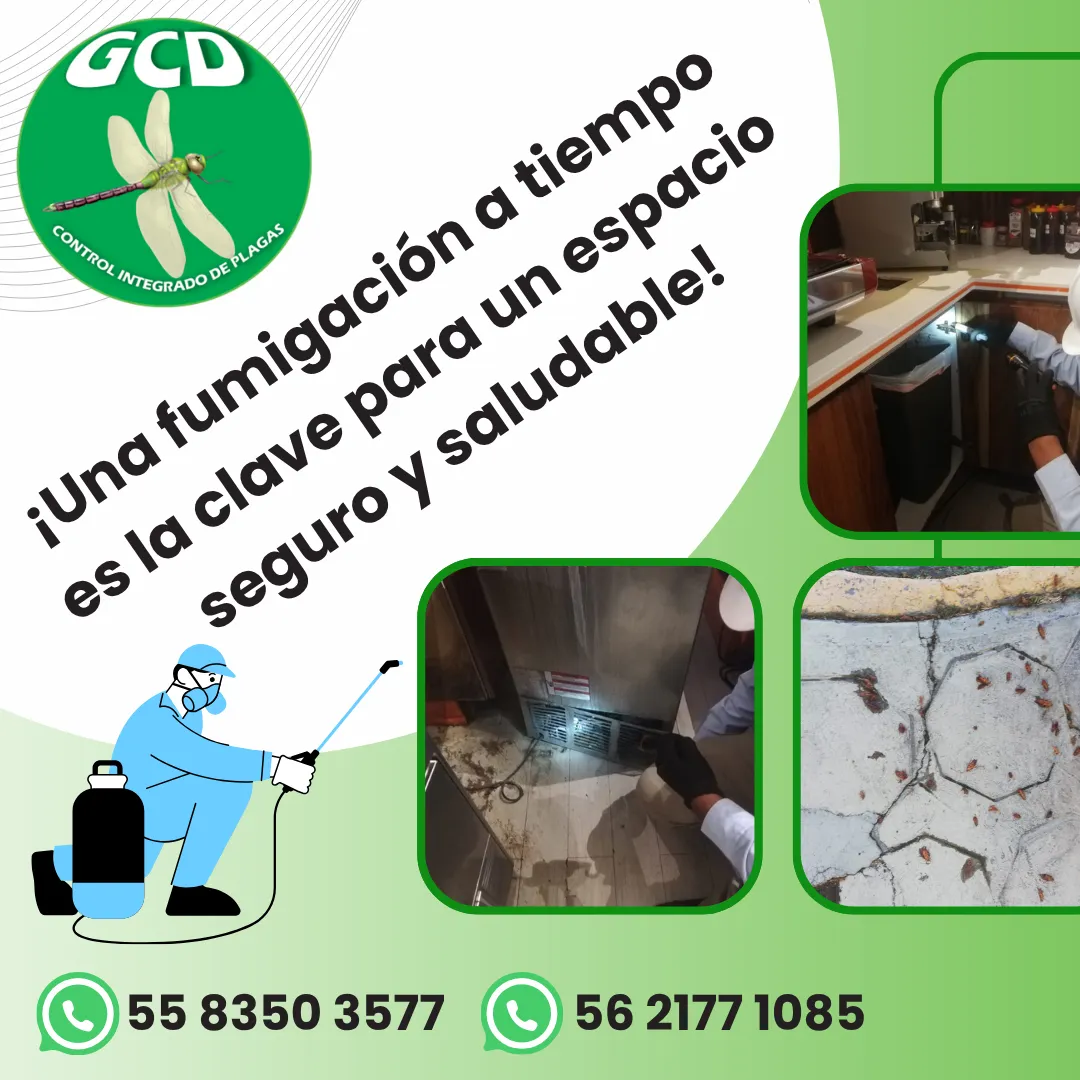 Diseño 40