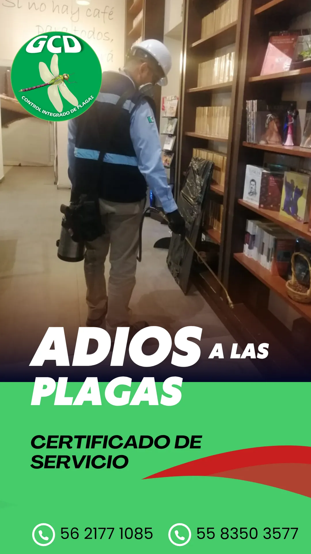 Diseño 23