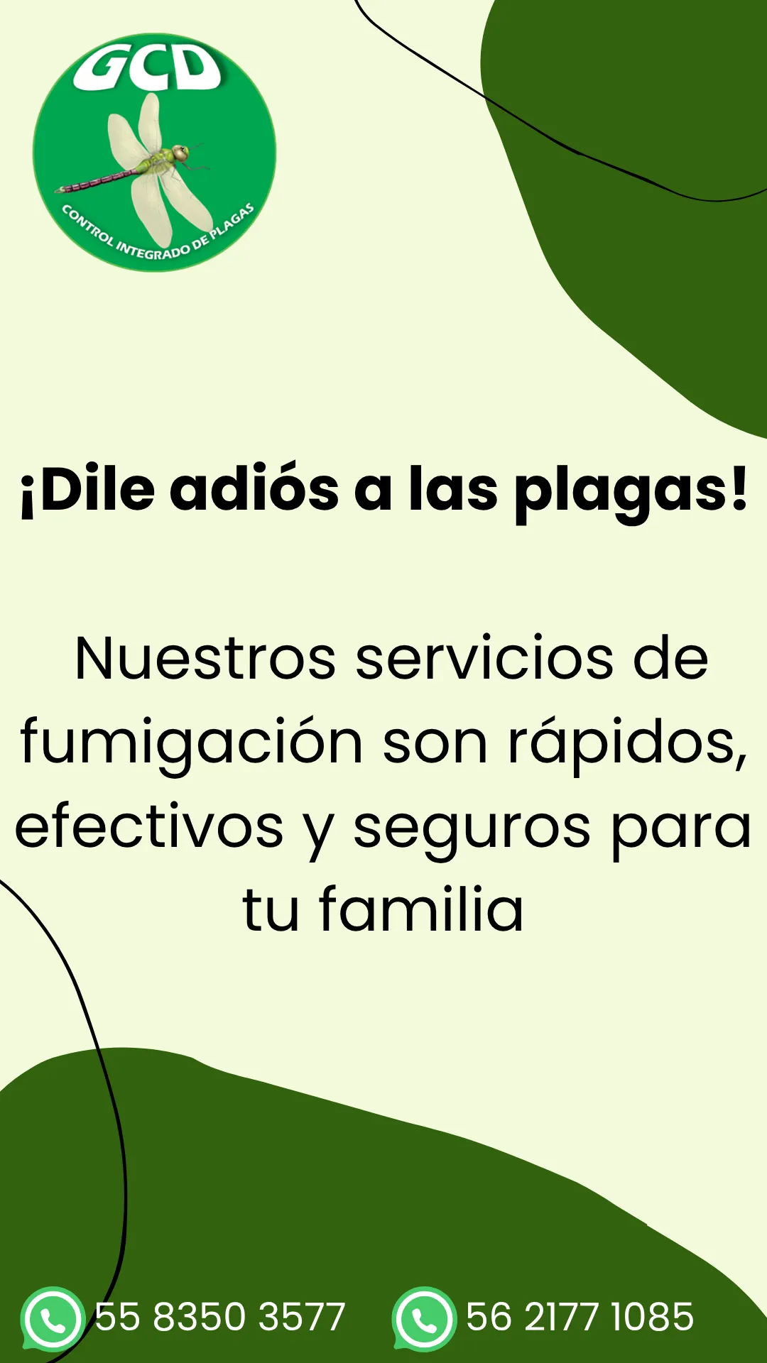 Diseño 38