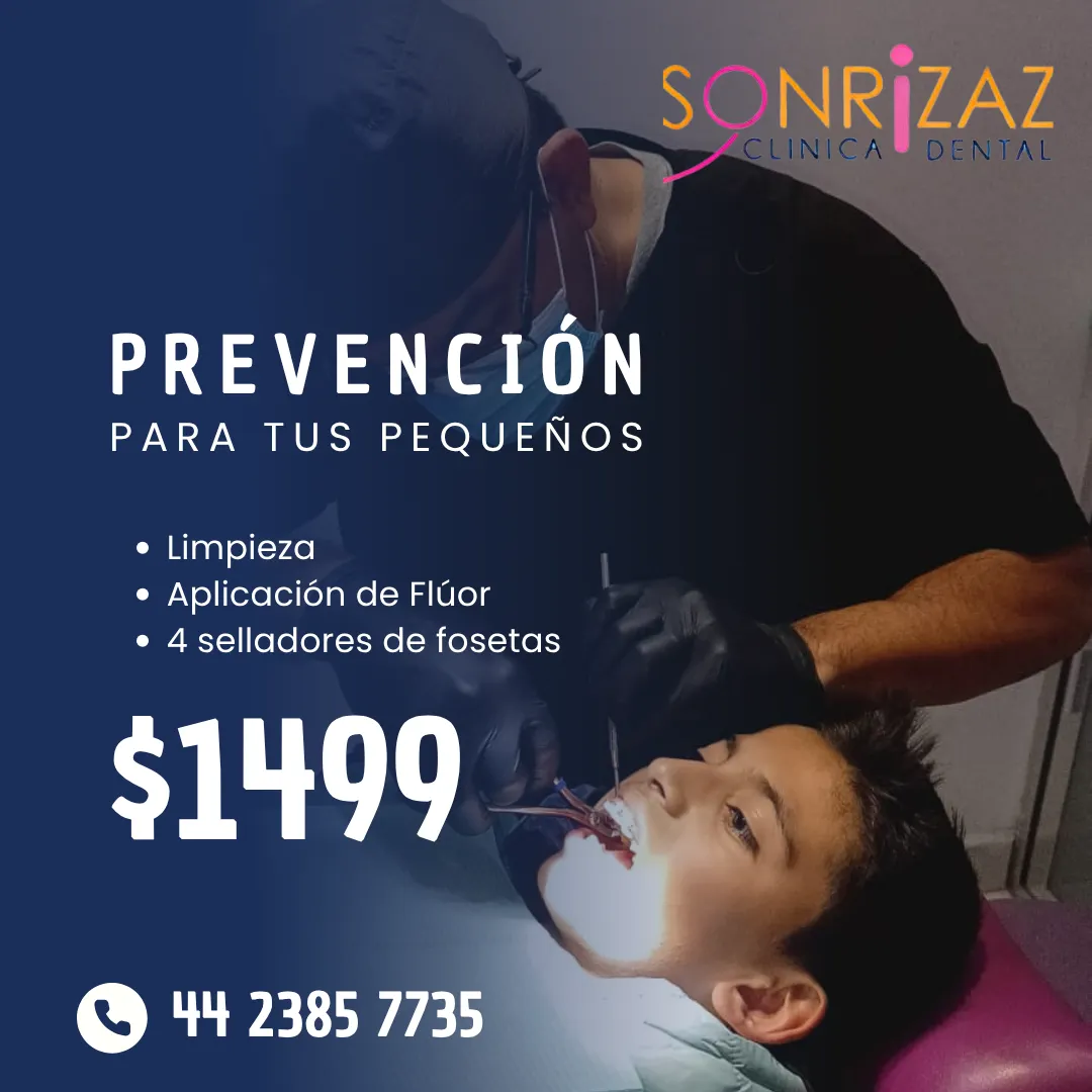 Diseño 102