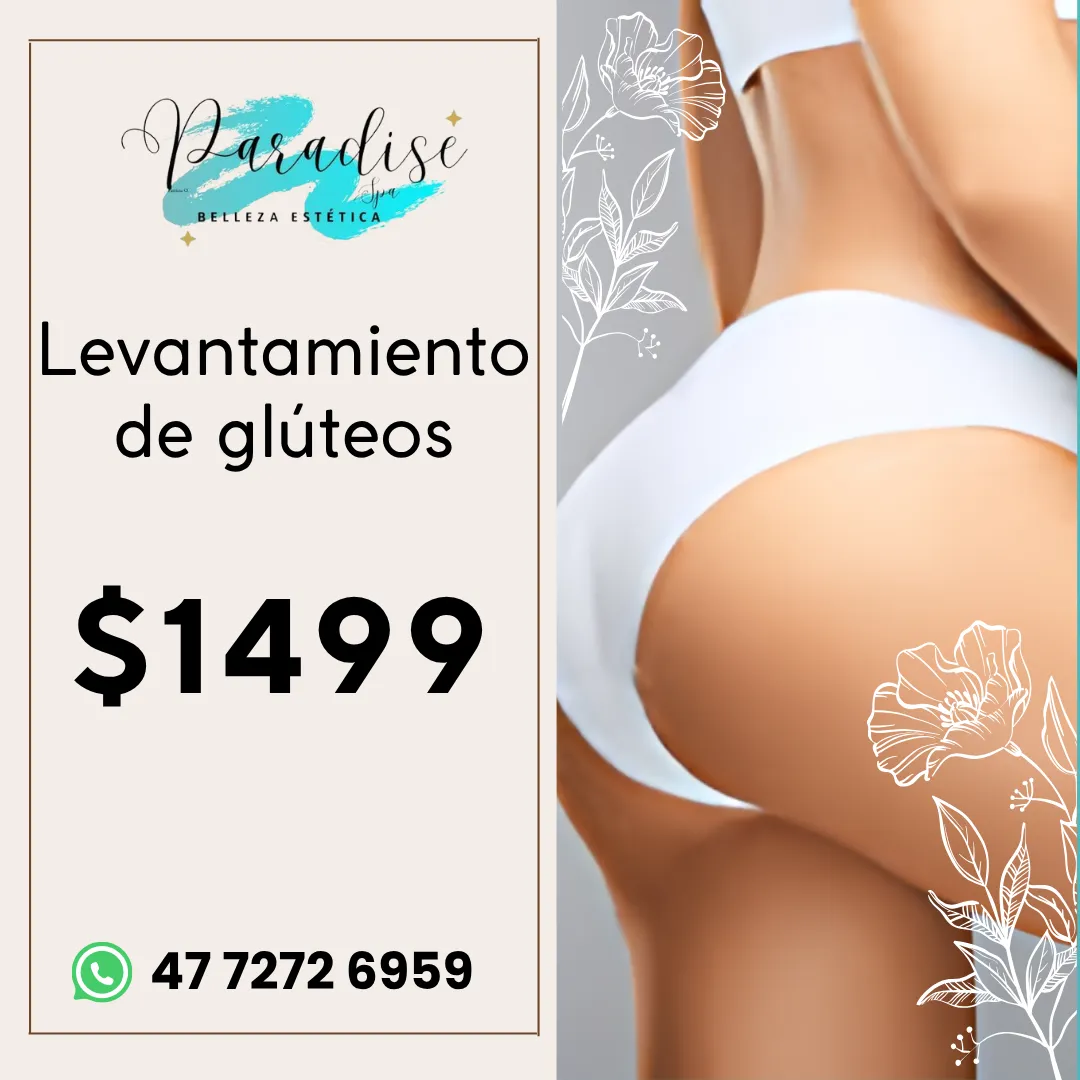 Diseño 66