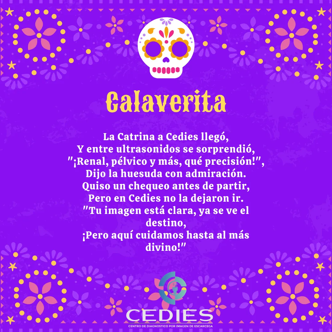 Diseño 49