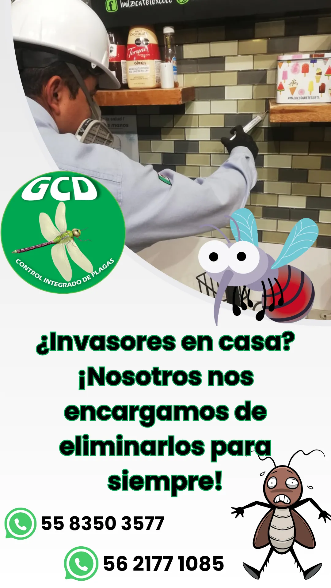 Diseño 144