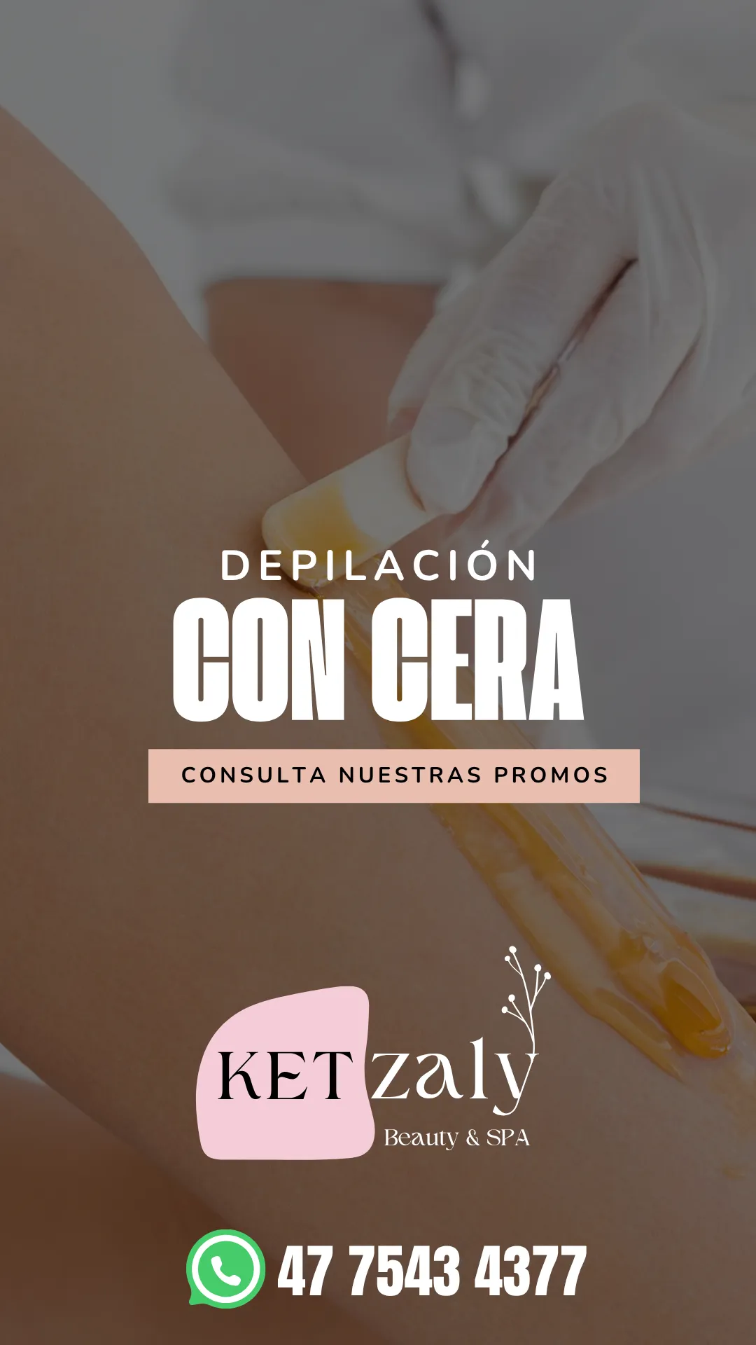 Diseño 81
