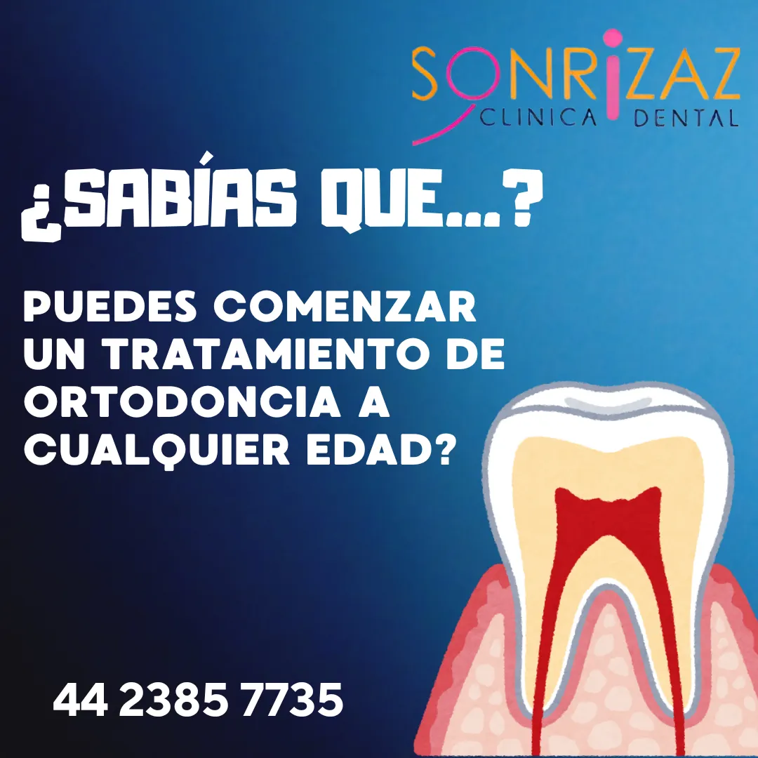 Diseño 13