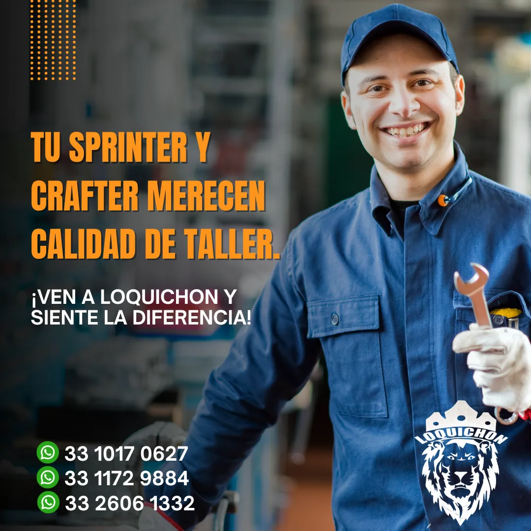 Diseño 29