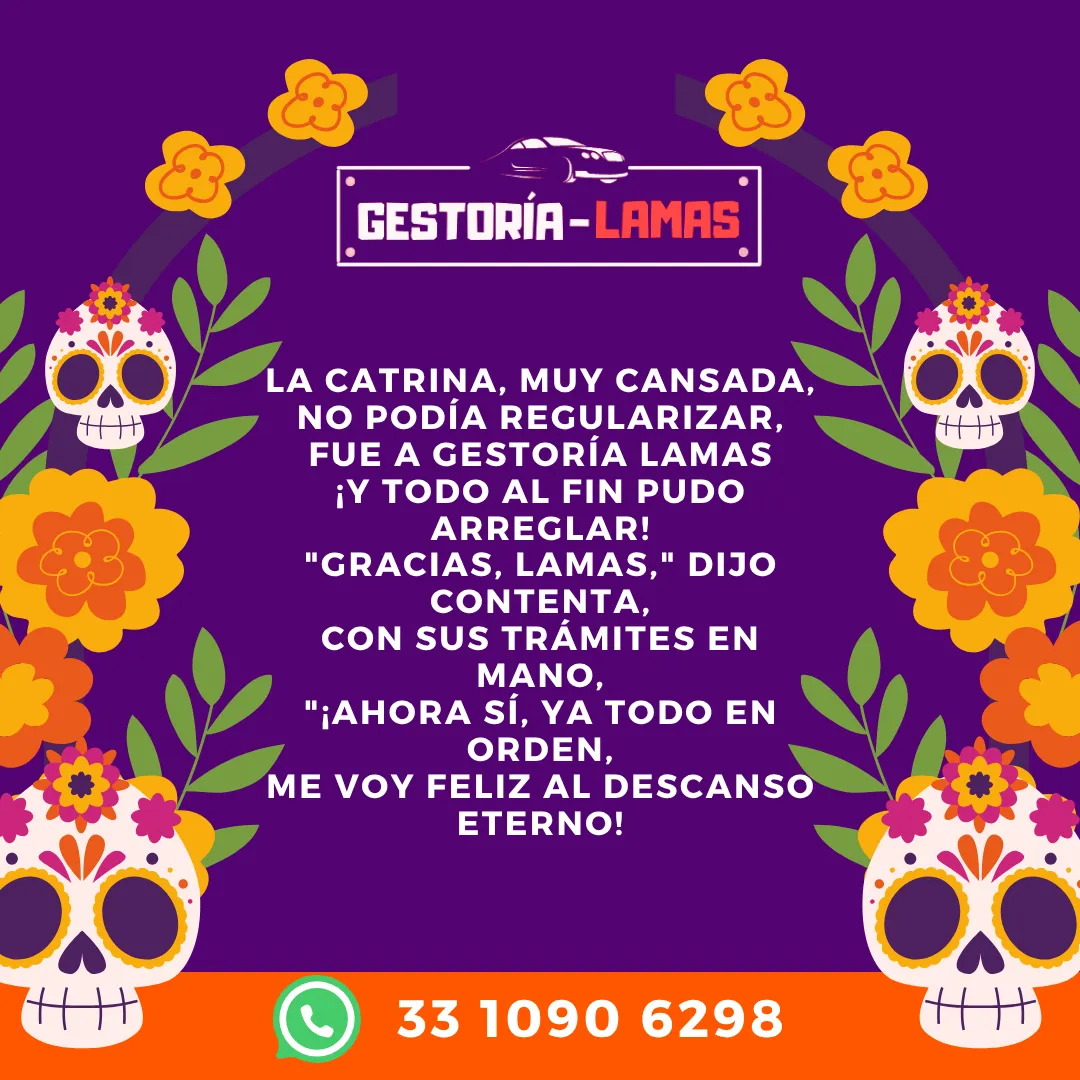 Diseño 143