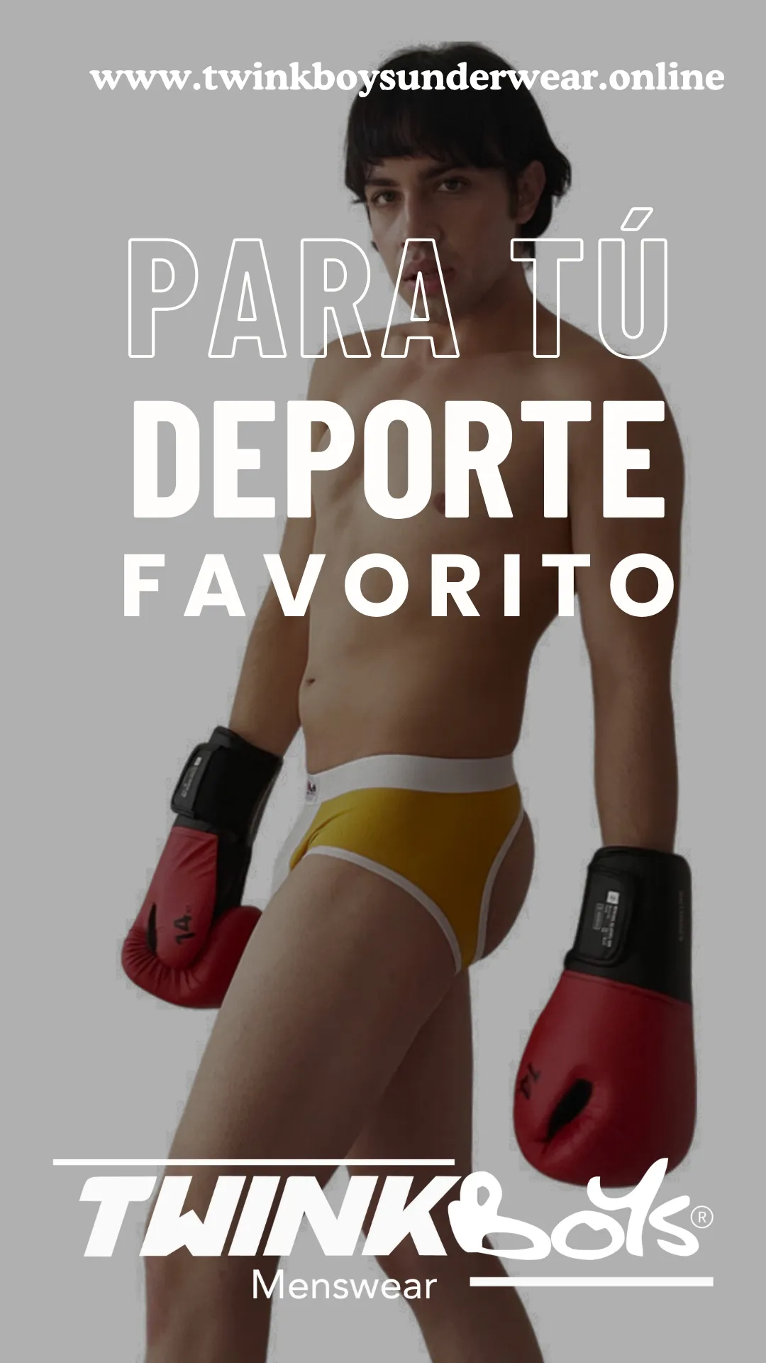 Diseño 24