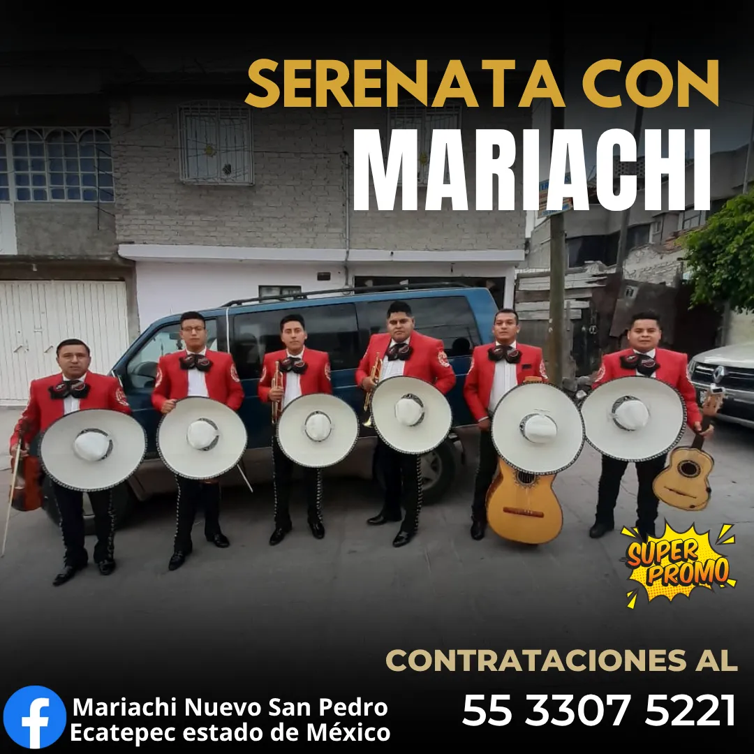 Diseño 9