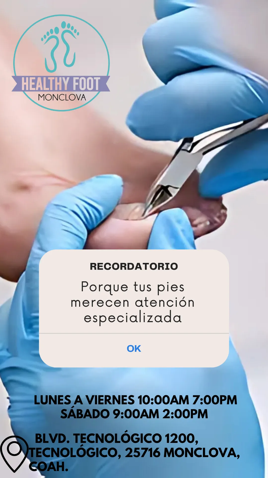 Diseño 81