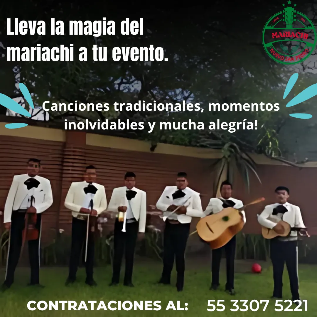 Diseño 16