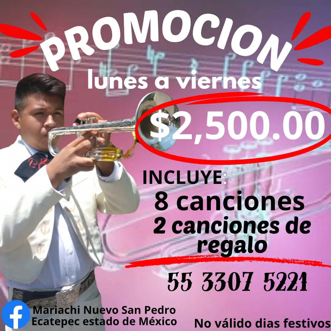 Diseño 4