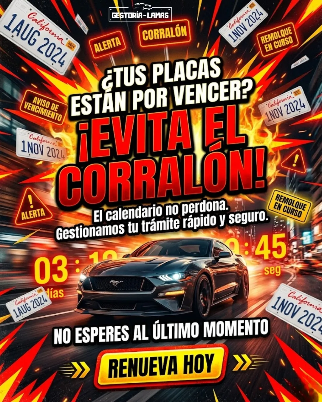 Diseño 73