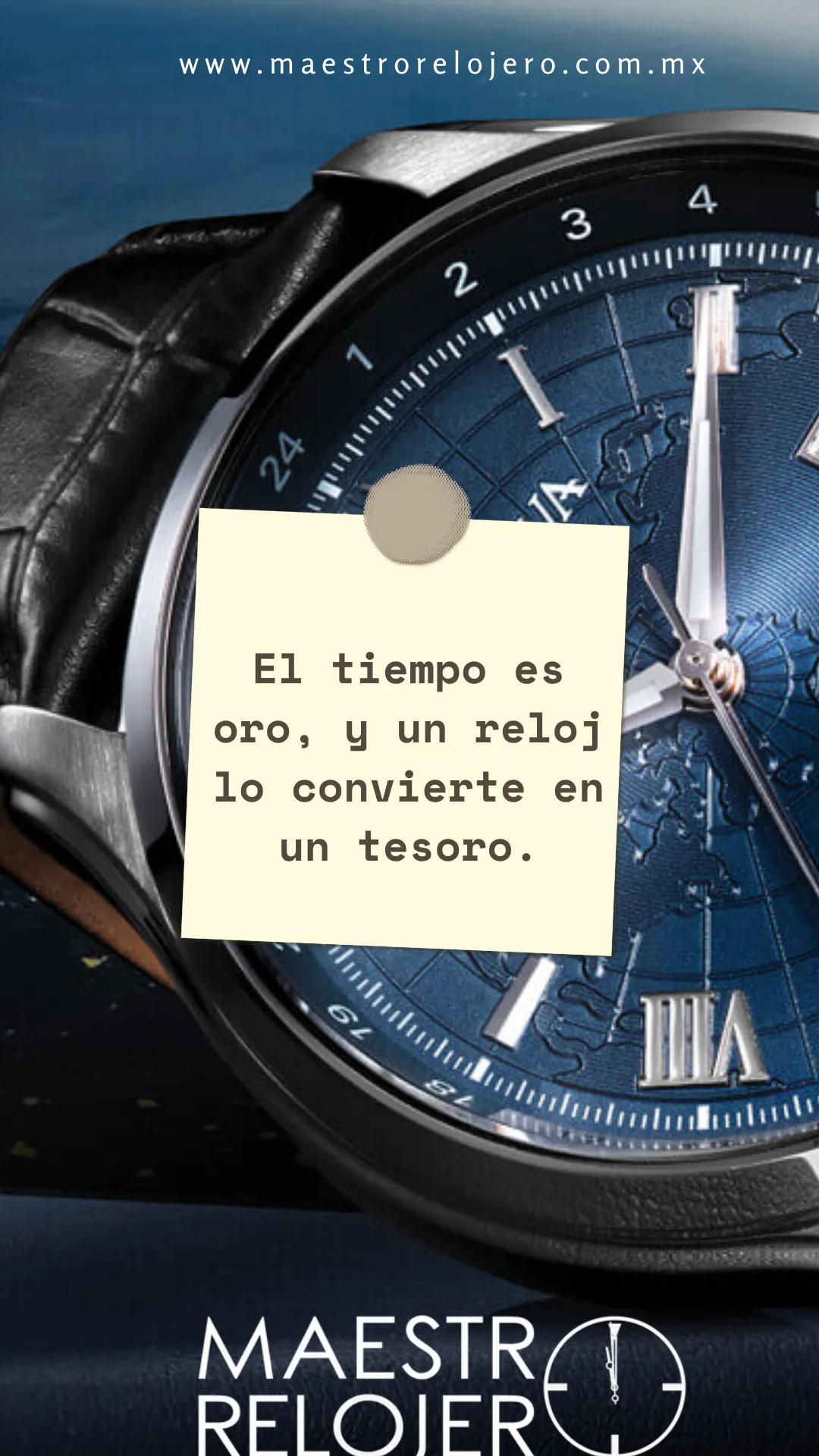 Diseño 81