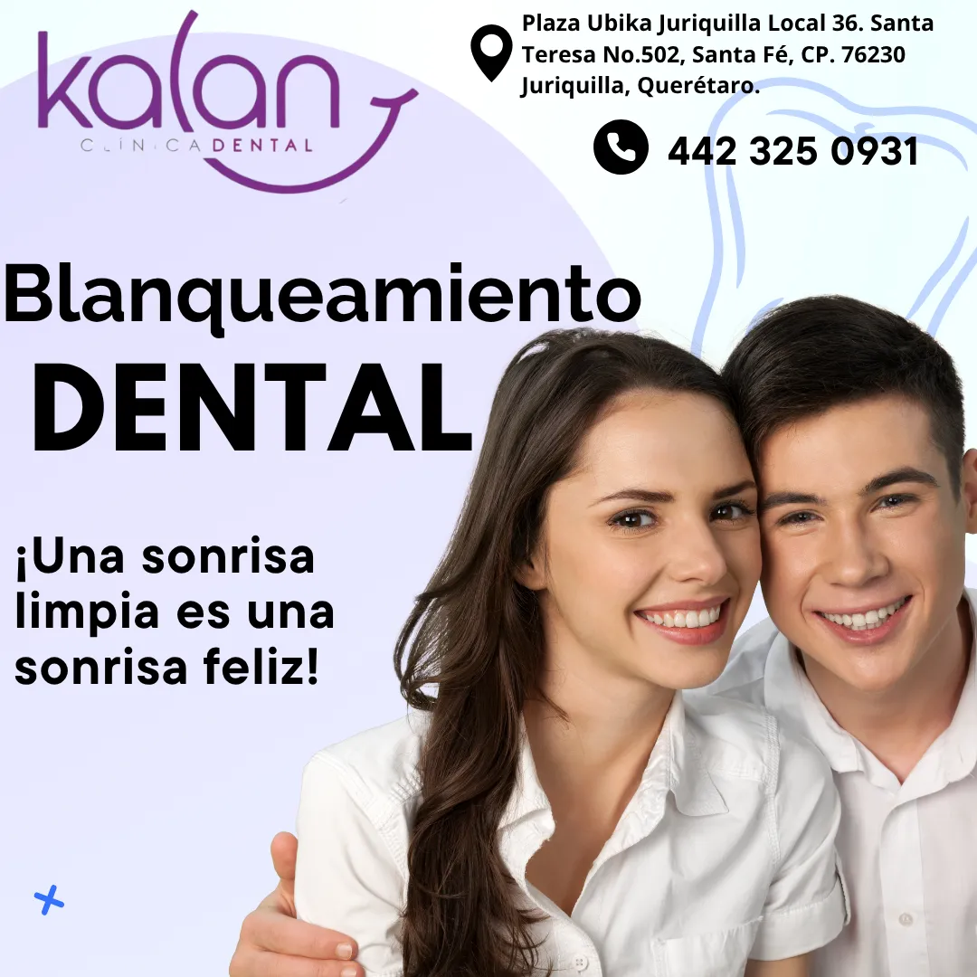 Diseño 104