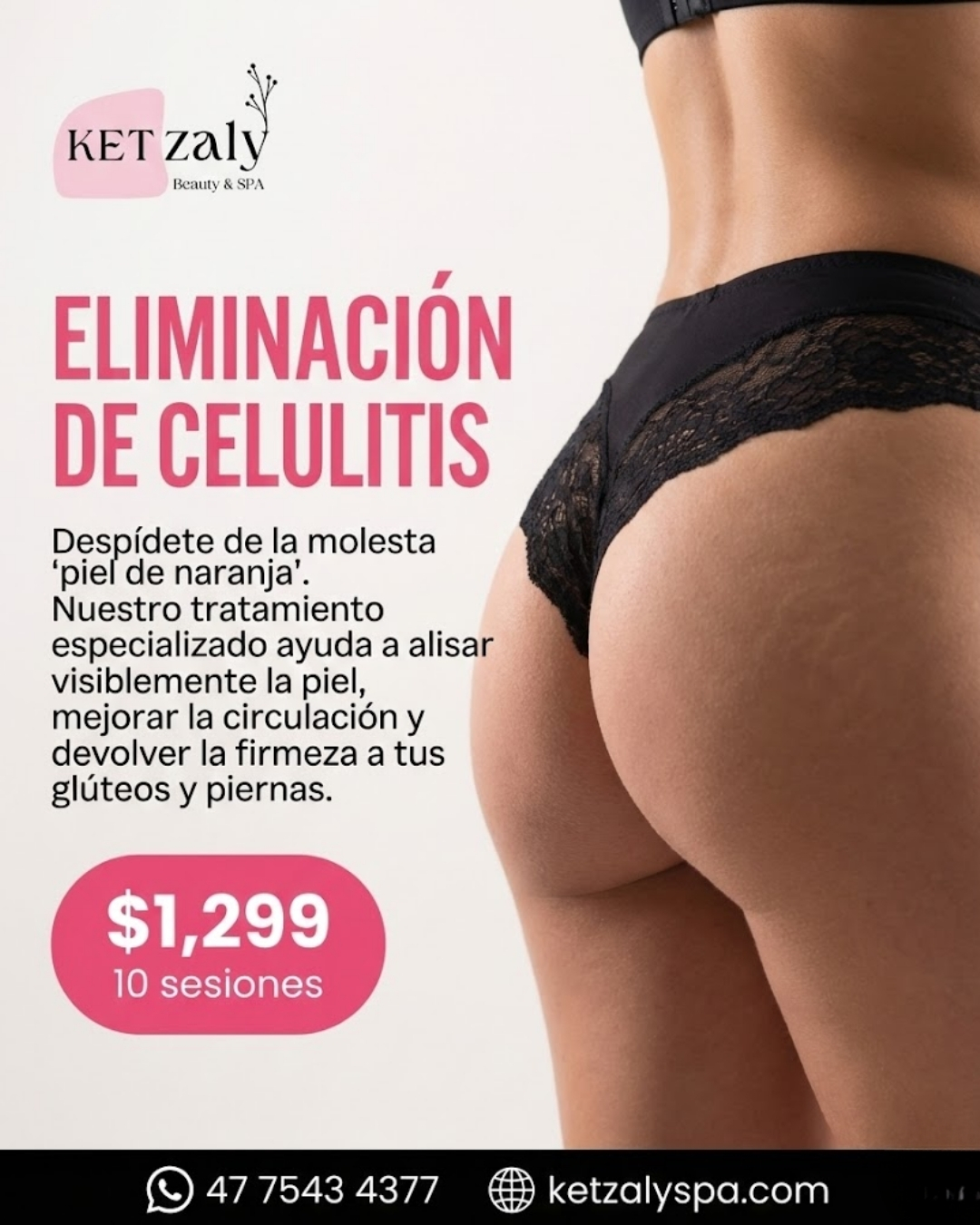 Diseño 36