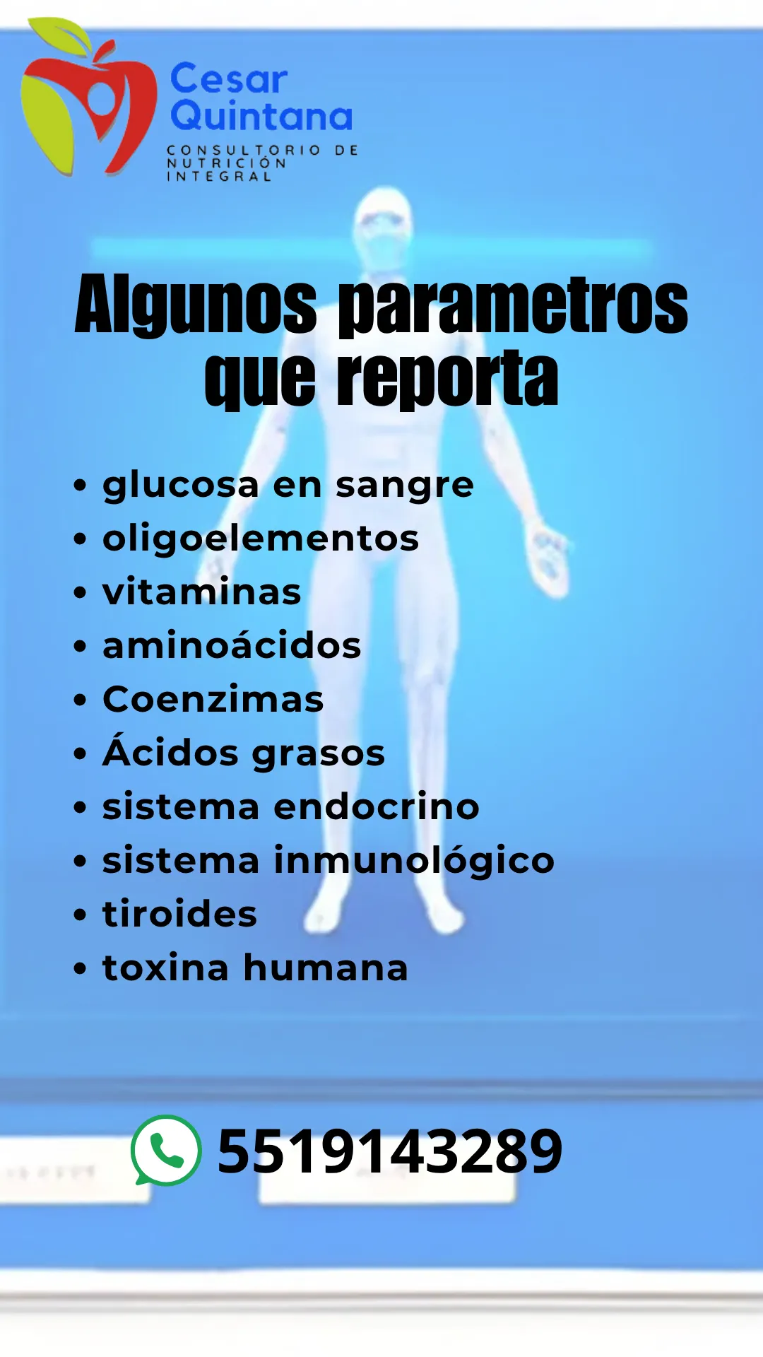 Diseño 55