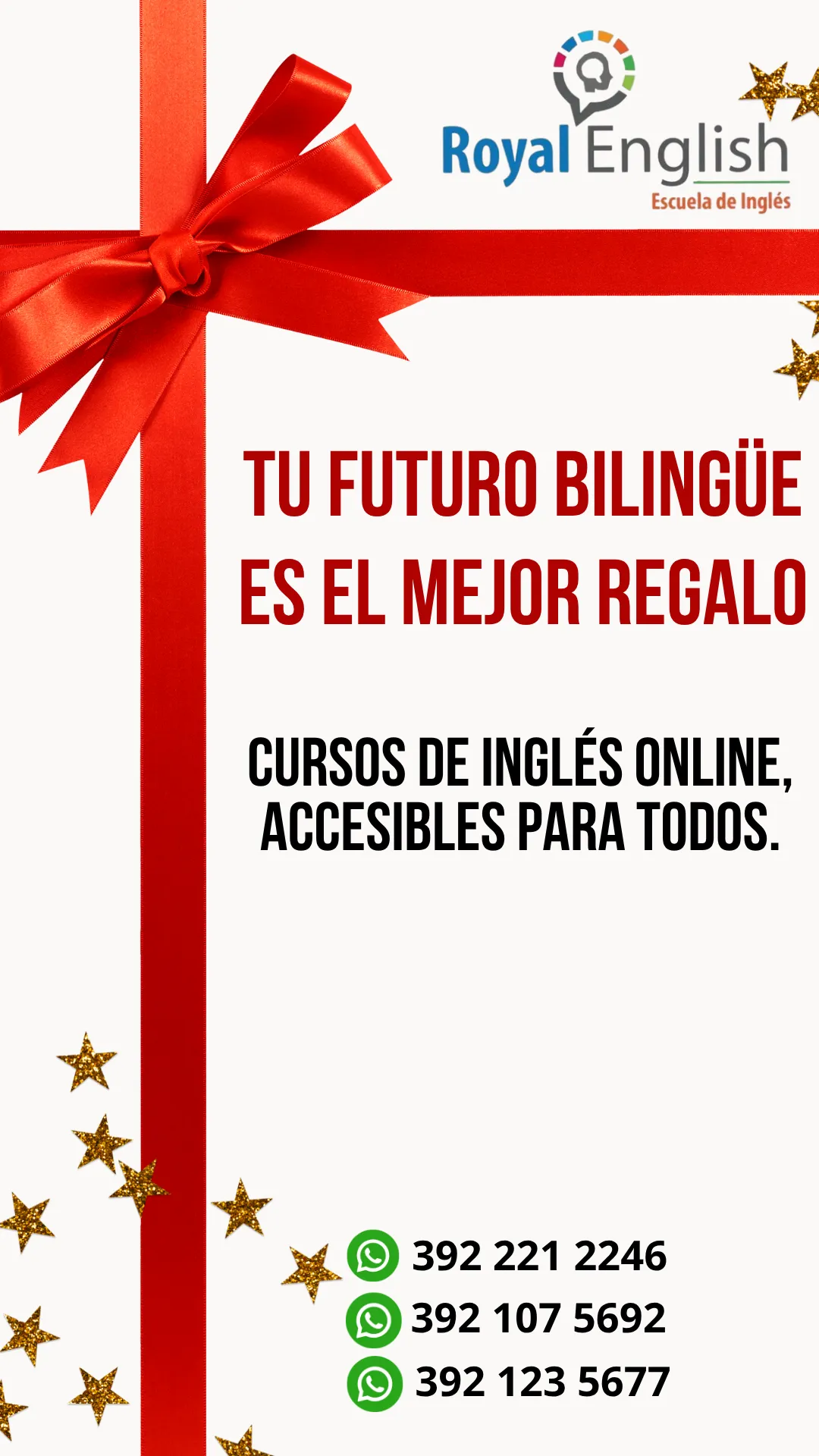 Diseño 13