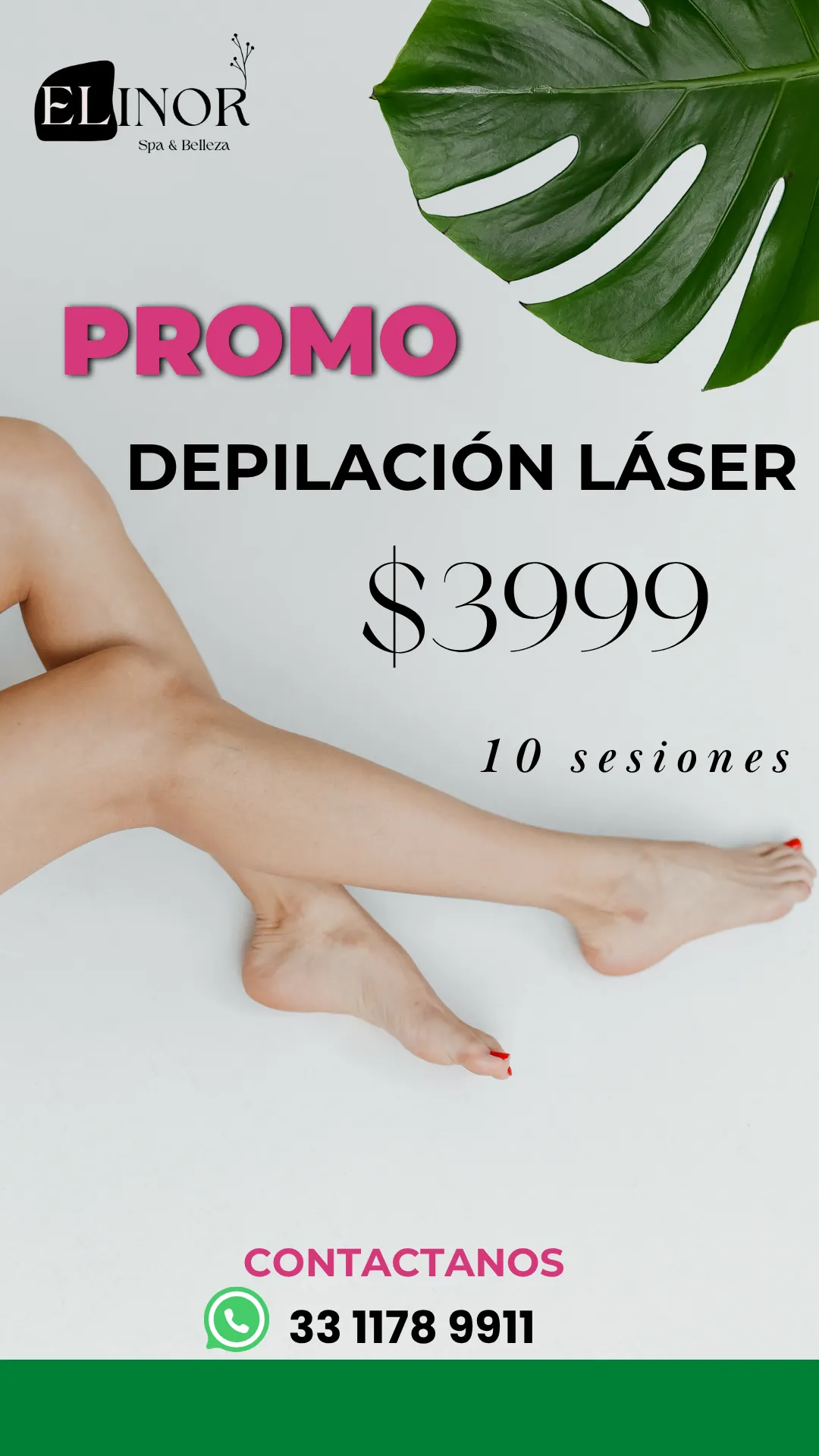 Diseño 67